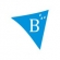 Brane B - пароизоляция
